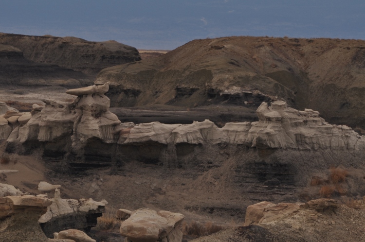 bisti wilderness